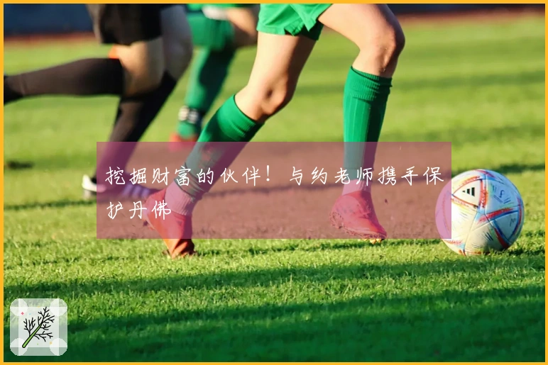 挖掘财富的伙伴！与约老师携手保护丹佛