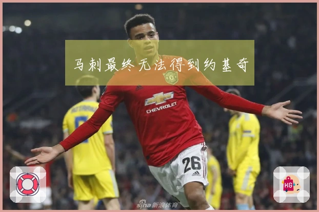 马刺最终无法得到约基奇