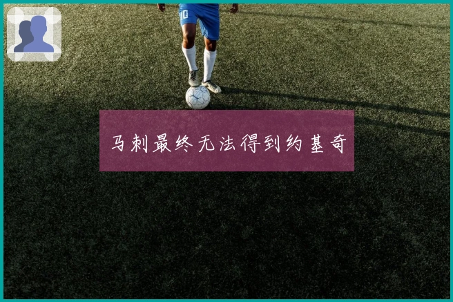 马刺最终无法得到约基奇